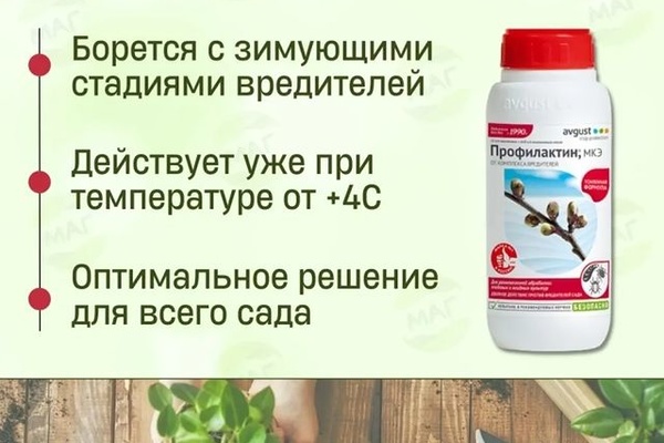 Препарат Профилактин