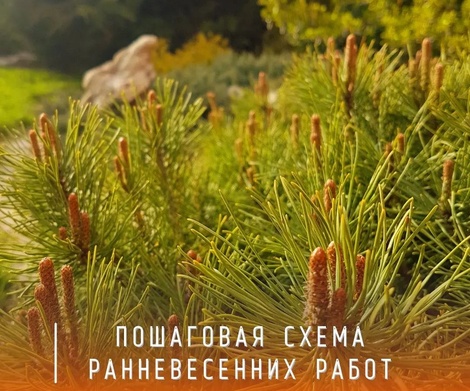 Пошаговая схема ранневесенних работ