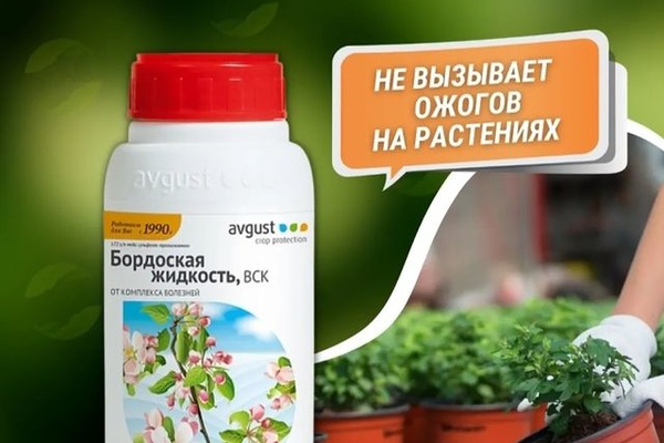 Бордоская жидкость
