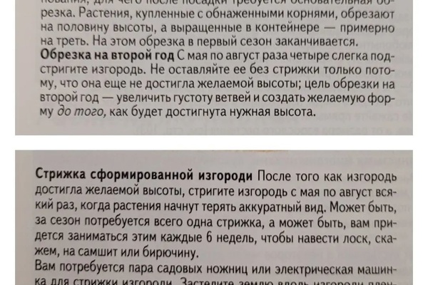 Обрезка и стрижка изгородей