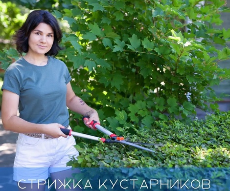 Стрижка кустарников и живых изгородей